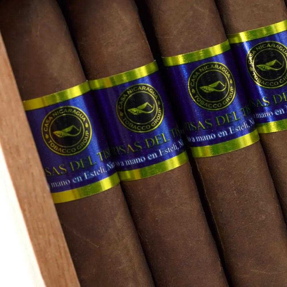 布里萨斯德尔蒂西 罗伯图